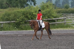 ISIS Dressage Challenge 2008